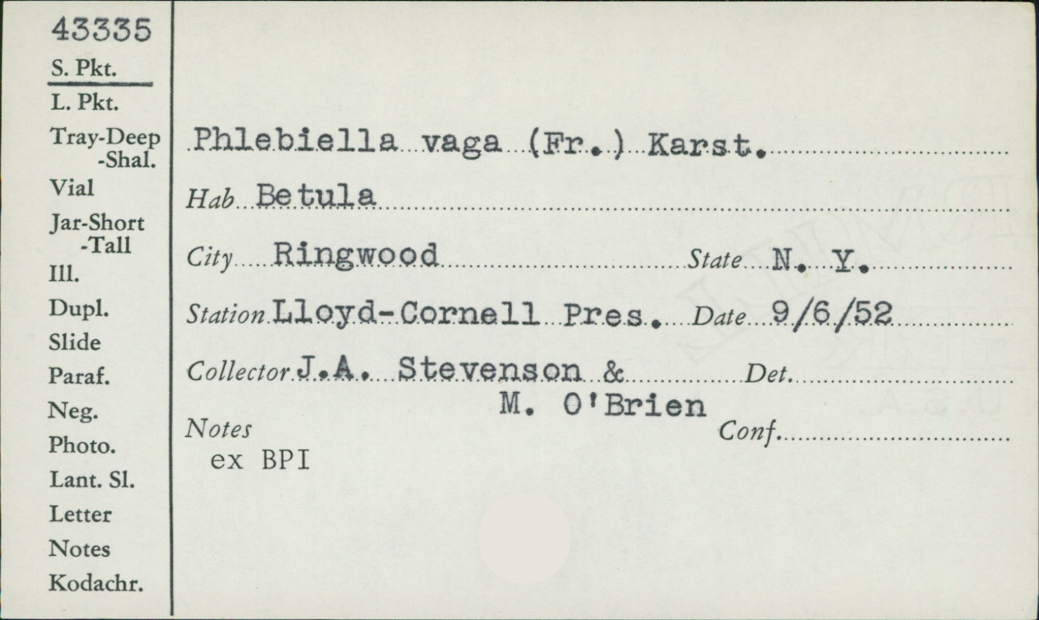 Xenasmatella vaga image