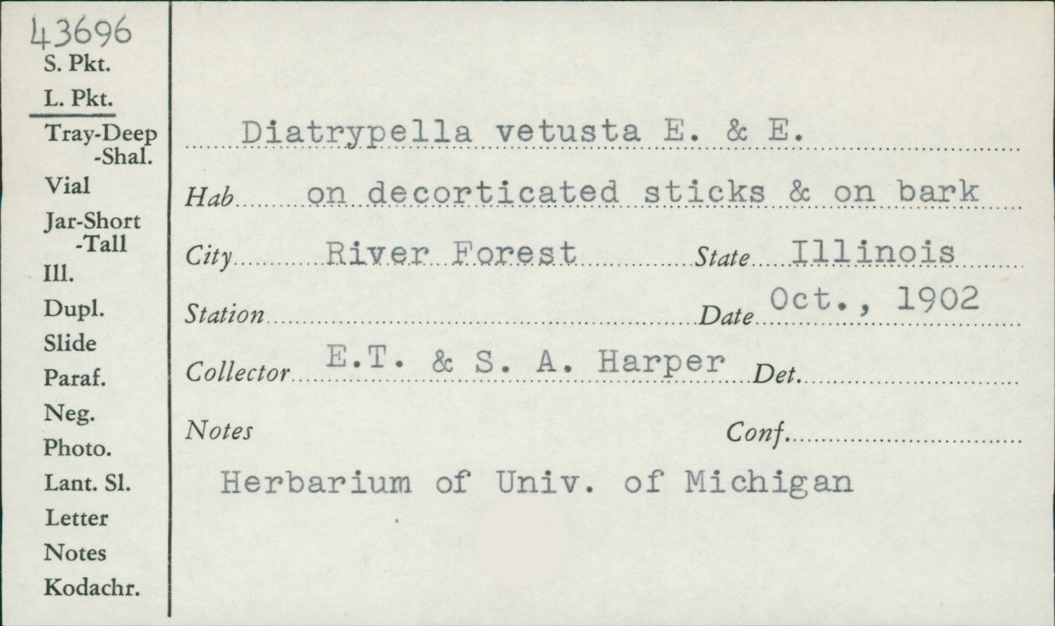 Diatrypella vetusta image