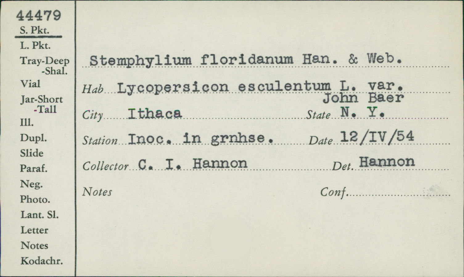 Stemphylium floridanum image