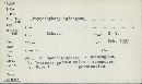 Phytophthora infestans image