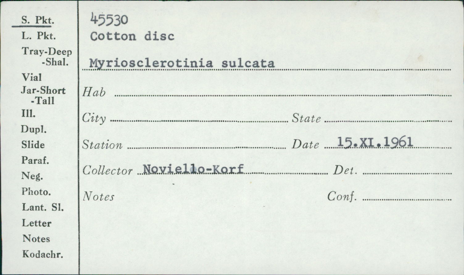 Myriosclerotinia sulcata image