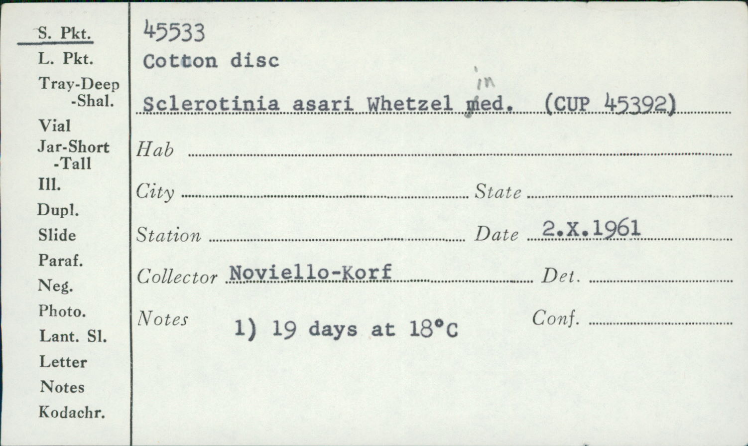 Sclerotinia asari image