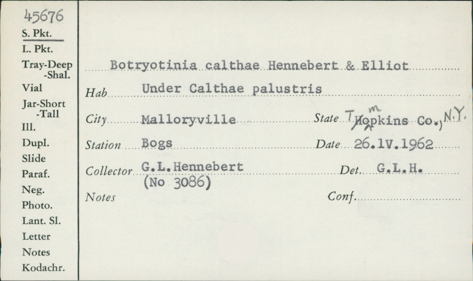 Botryotinia calthae image