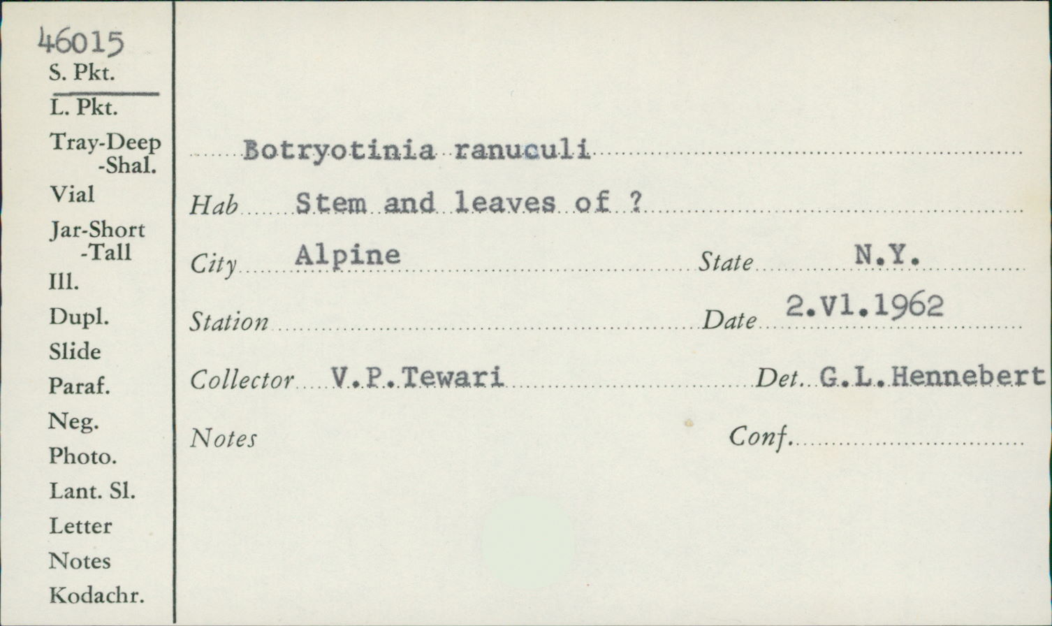 Botryotinia ranunculi image