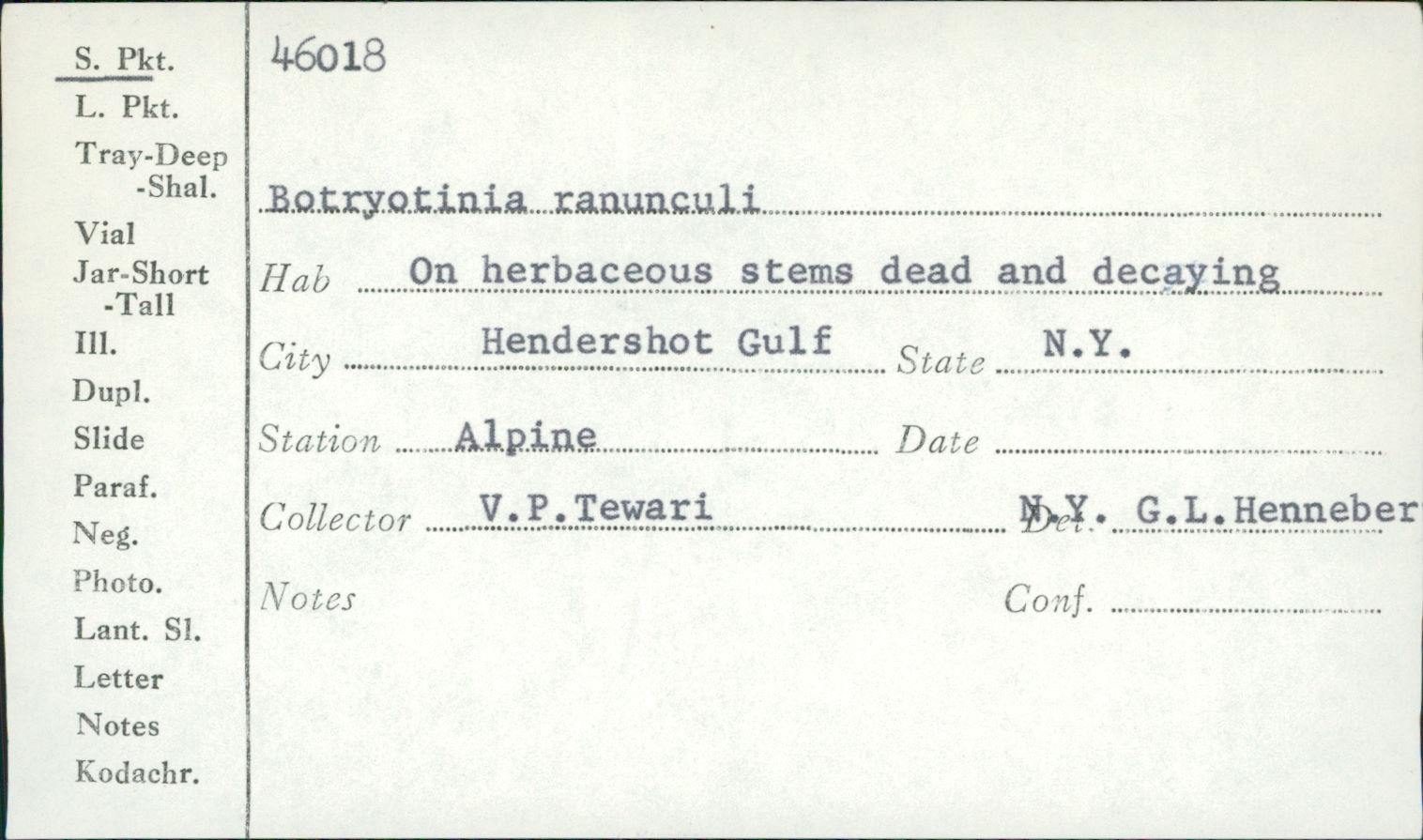 Botryotinia ranunculi image