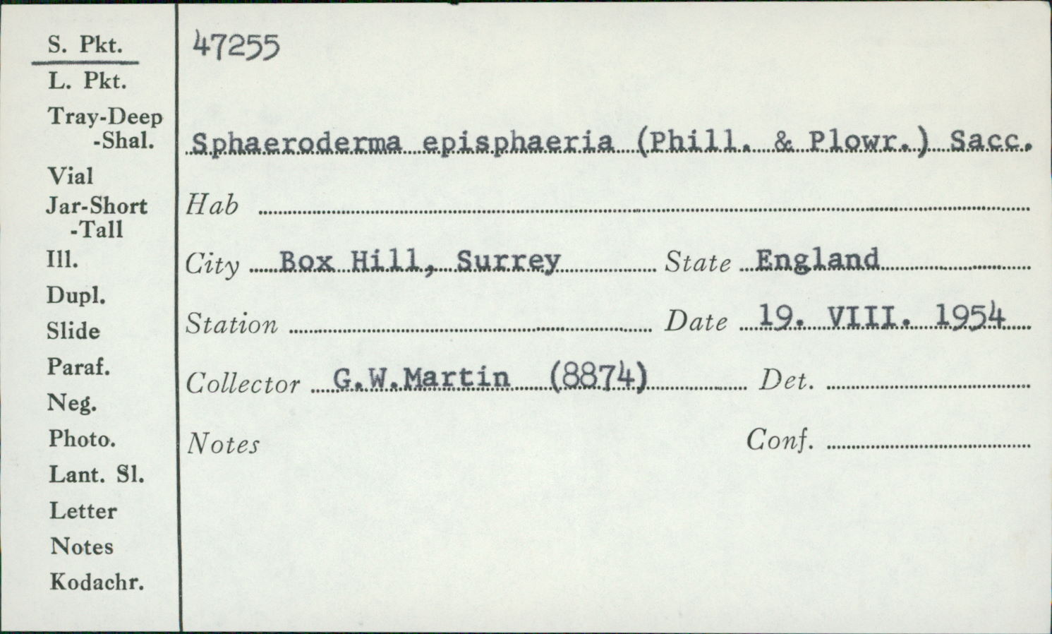 Sphaerodes episphaerium image