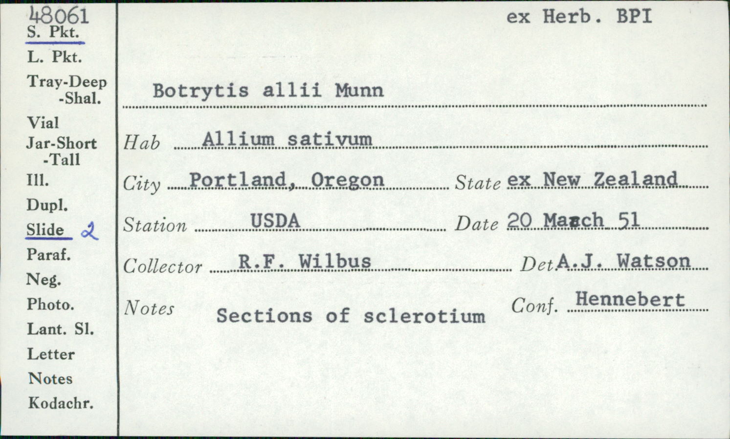 Botrytis allii image