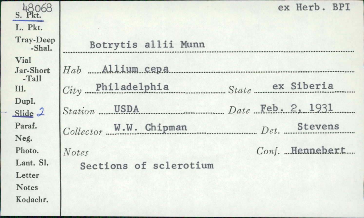 Botrytis allii image
