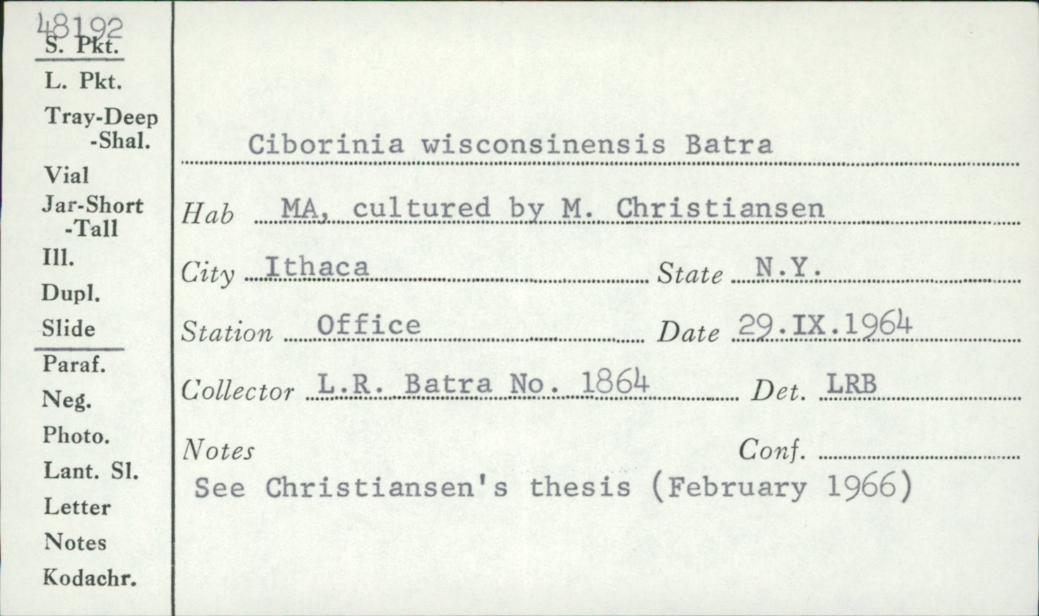 Ciborinia wisconsinensis image