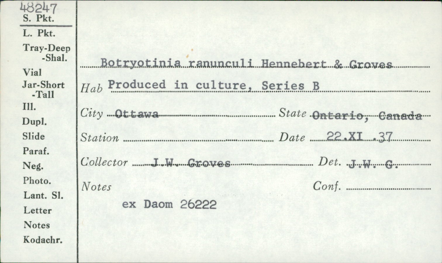 Botryotinia ranunculi image