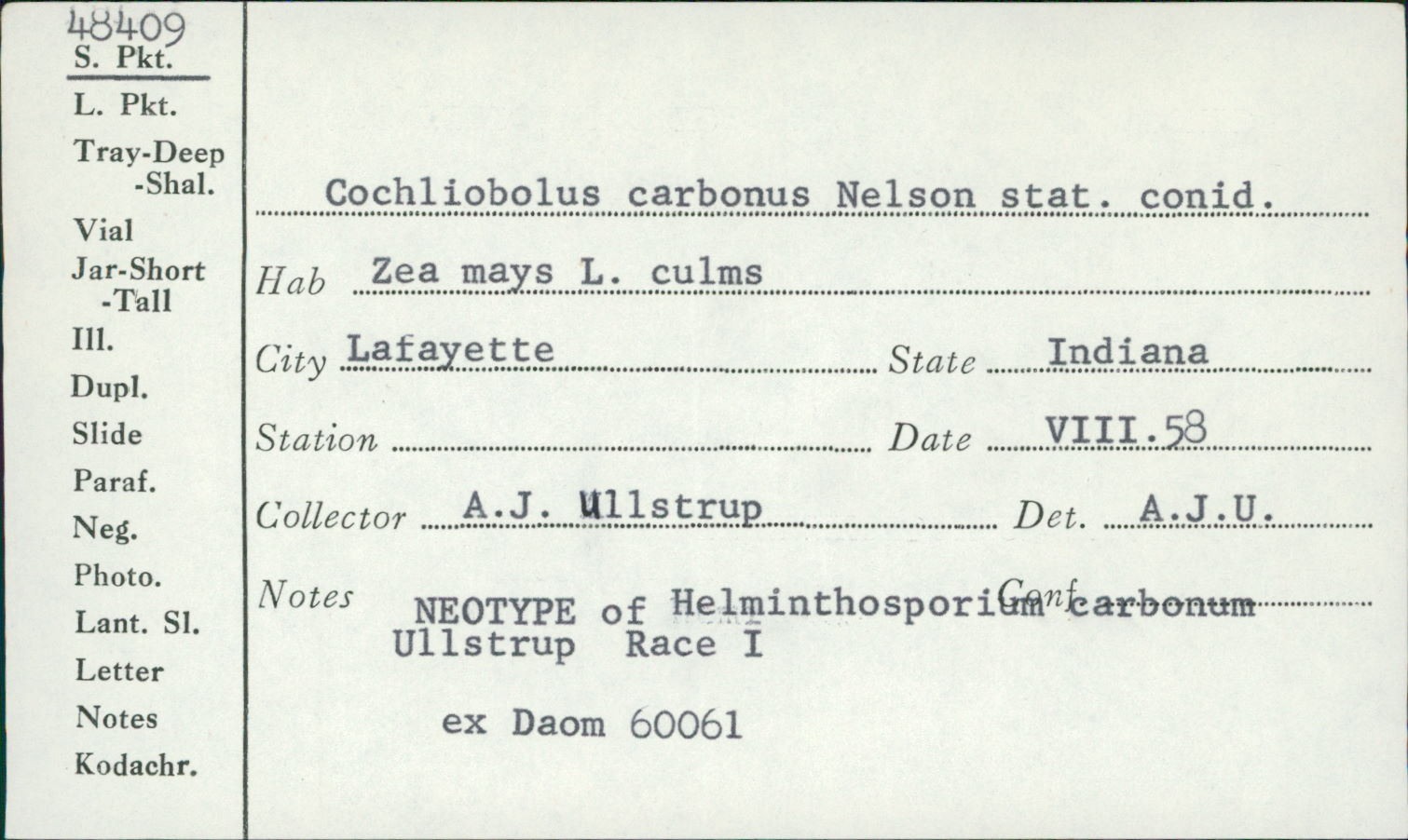 Cochliobolus carbonum image