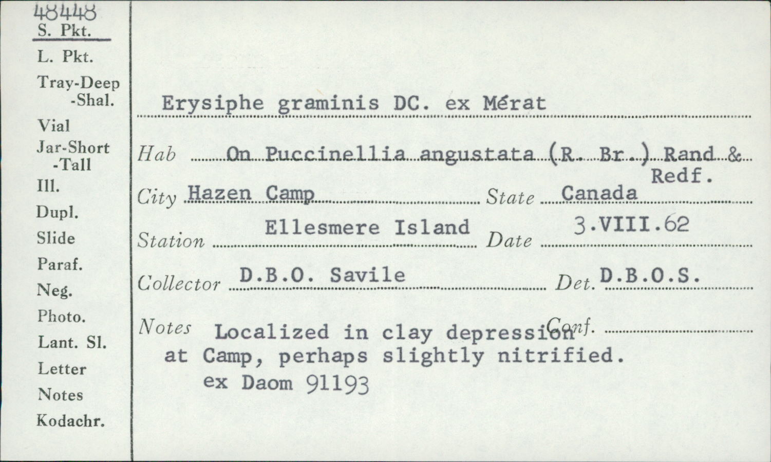 Blumeria graminis image