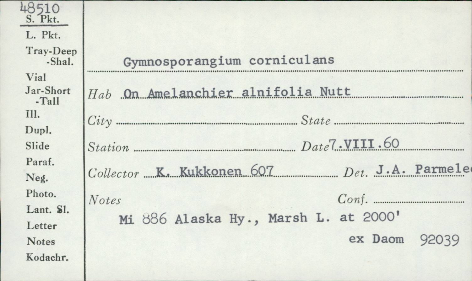 Gymnosporangium corniculans image