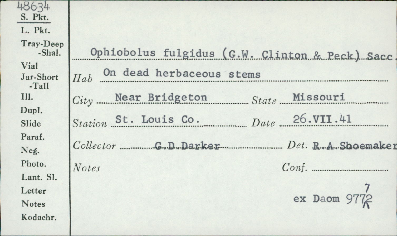 Ophiobolus fulgidus image