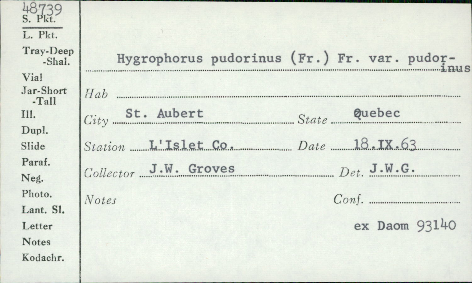 Hygrophorus pudorinus var. pudorinus image