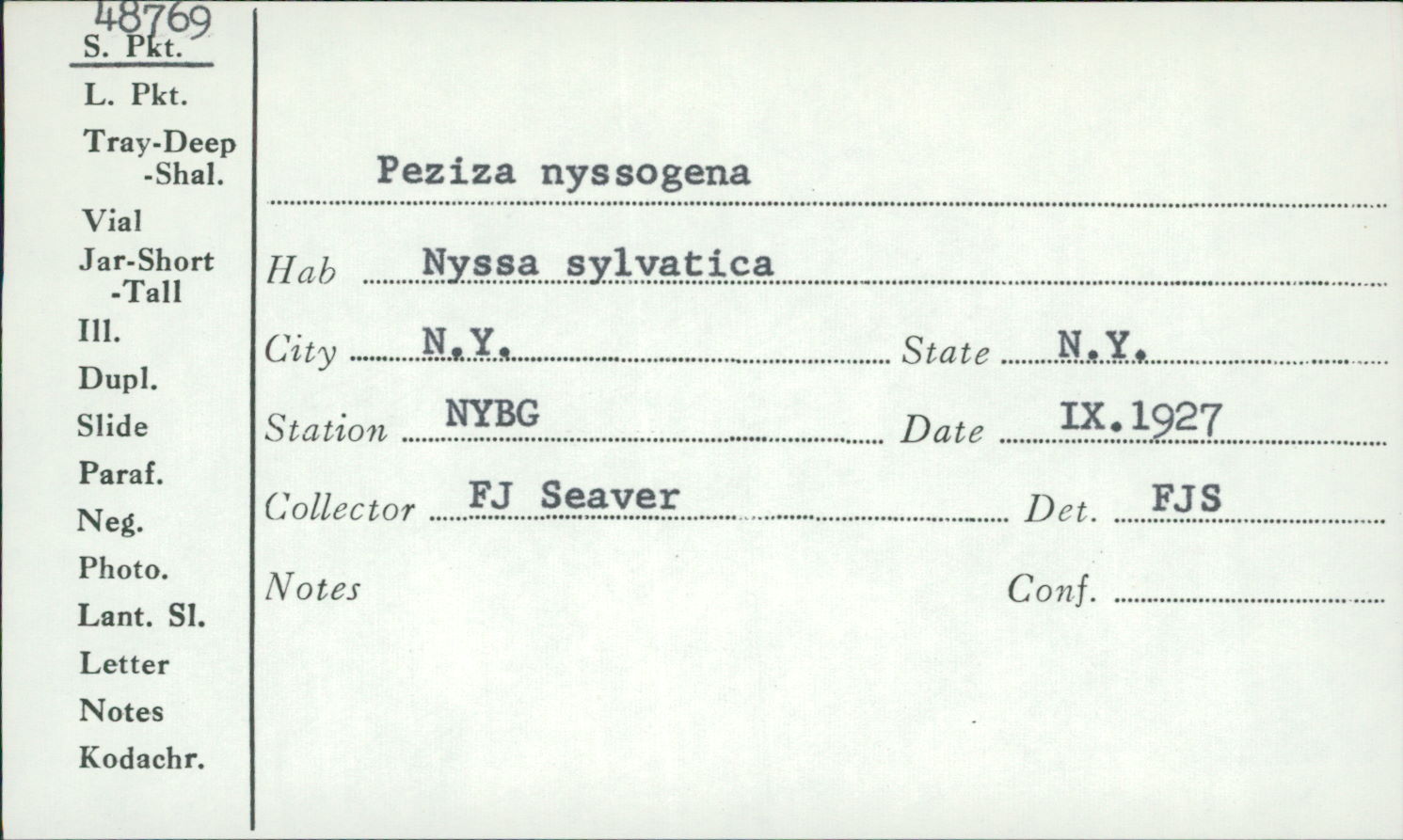 Sclerotinia nyssogena image