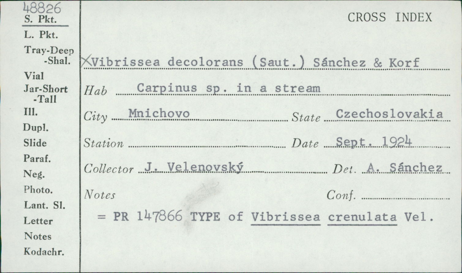 Vibrissea decolorans image