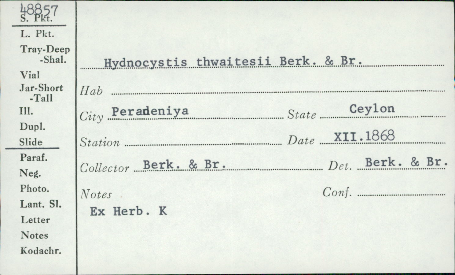 Hydnocystis thwaitesii image