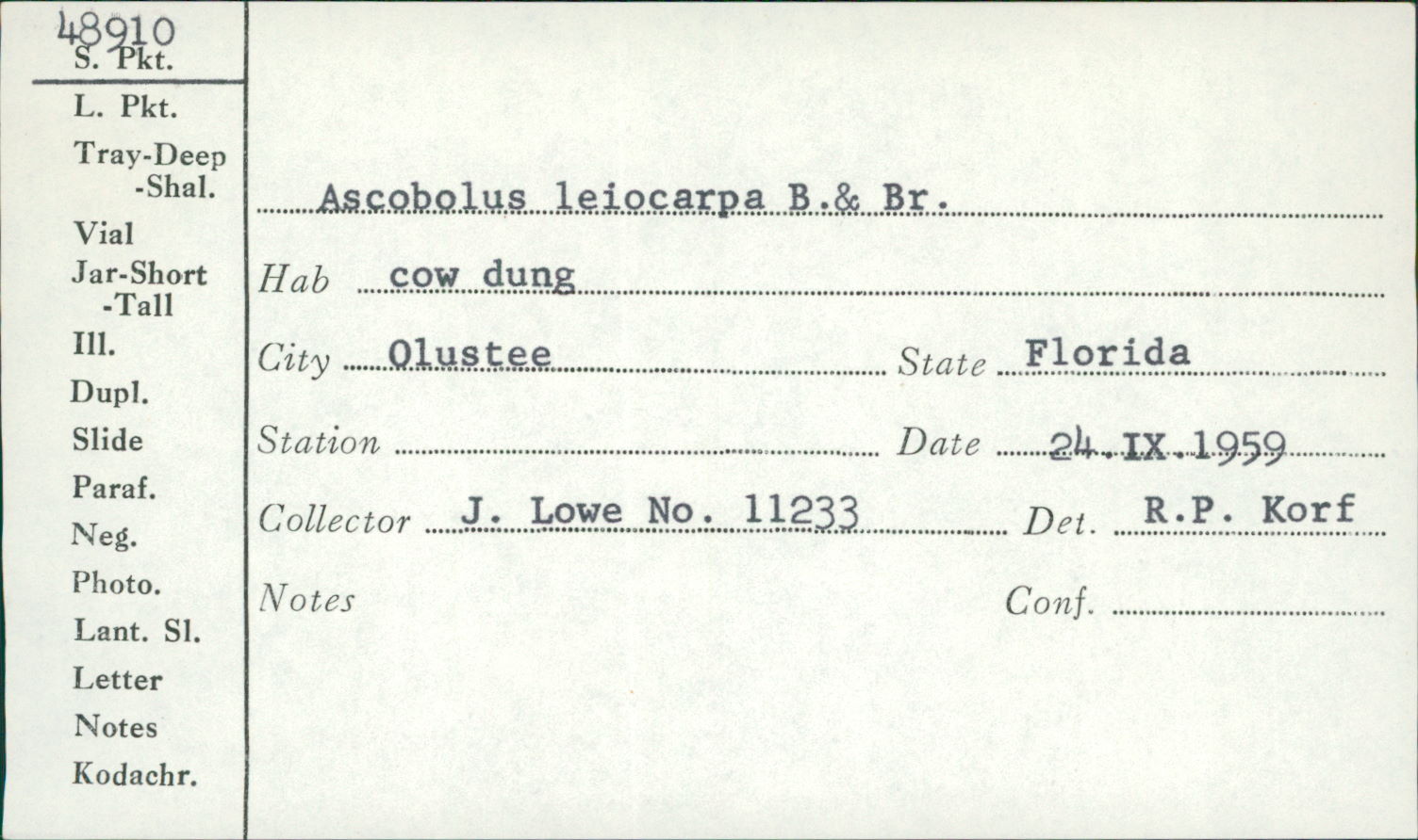 Ascobolus leiocarpus image