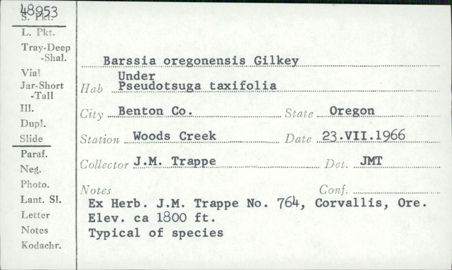 Barssia oregonensis image