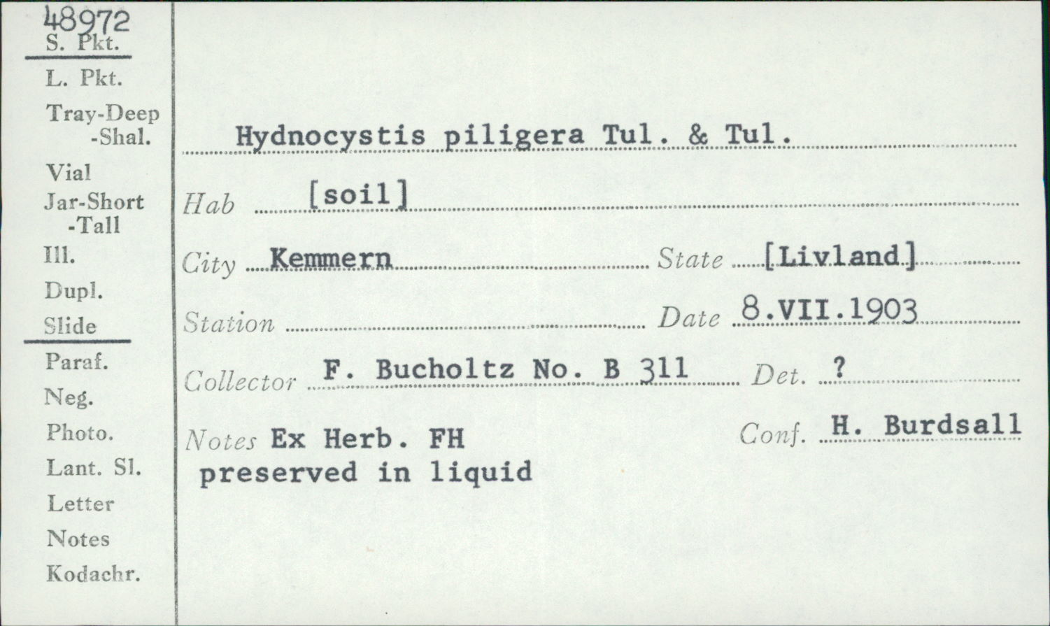 Hydnocystis piligera image