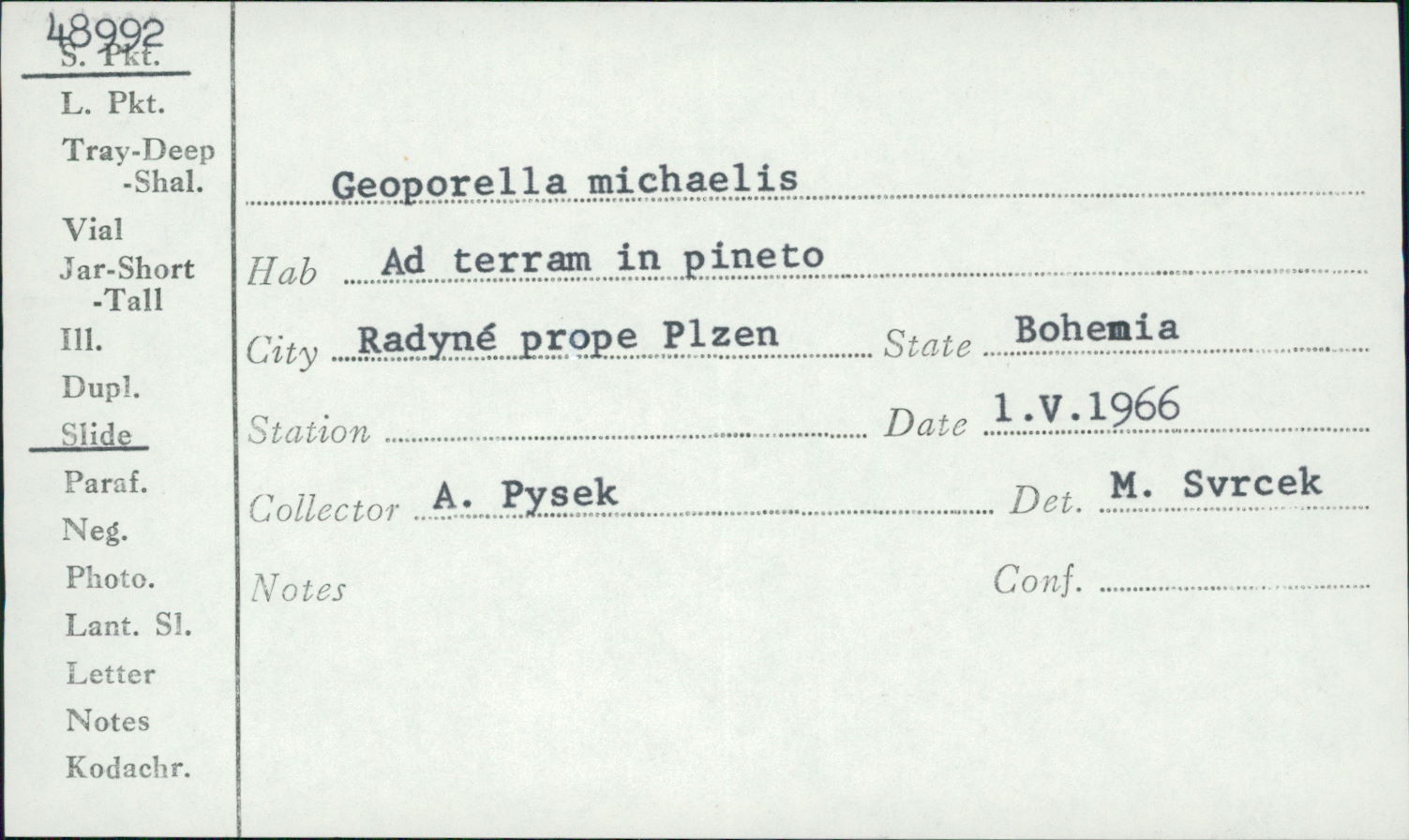 Geoporella michaelis image