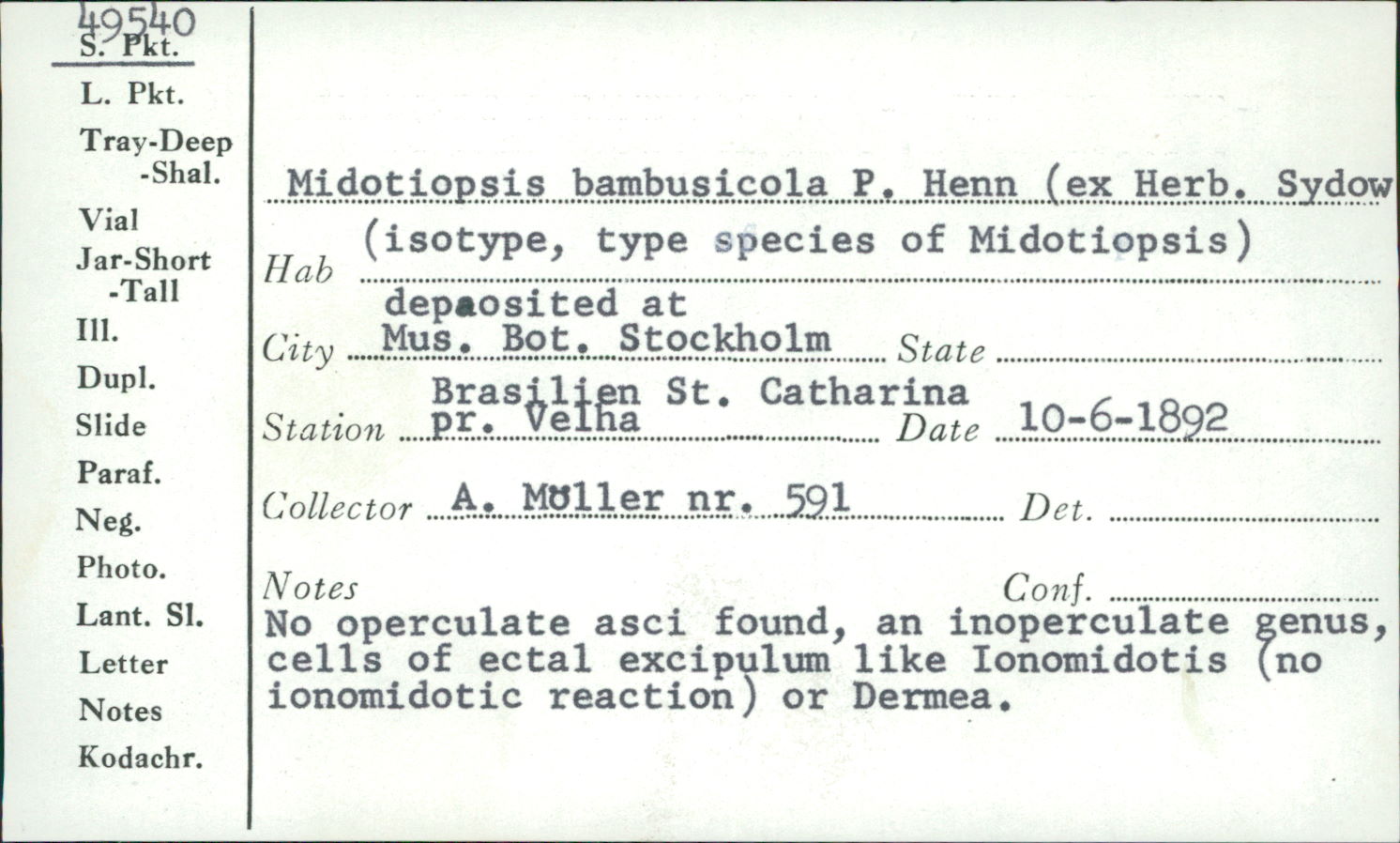Midotiopsis image