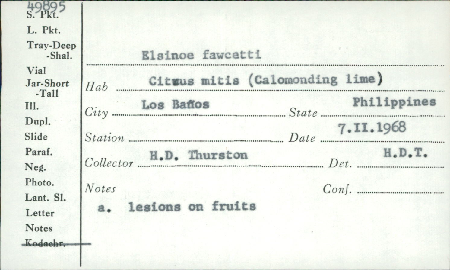 Elsinoë fawcetti image