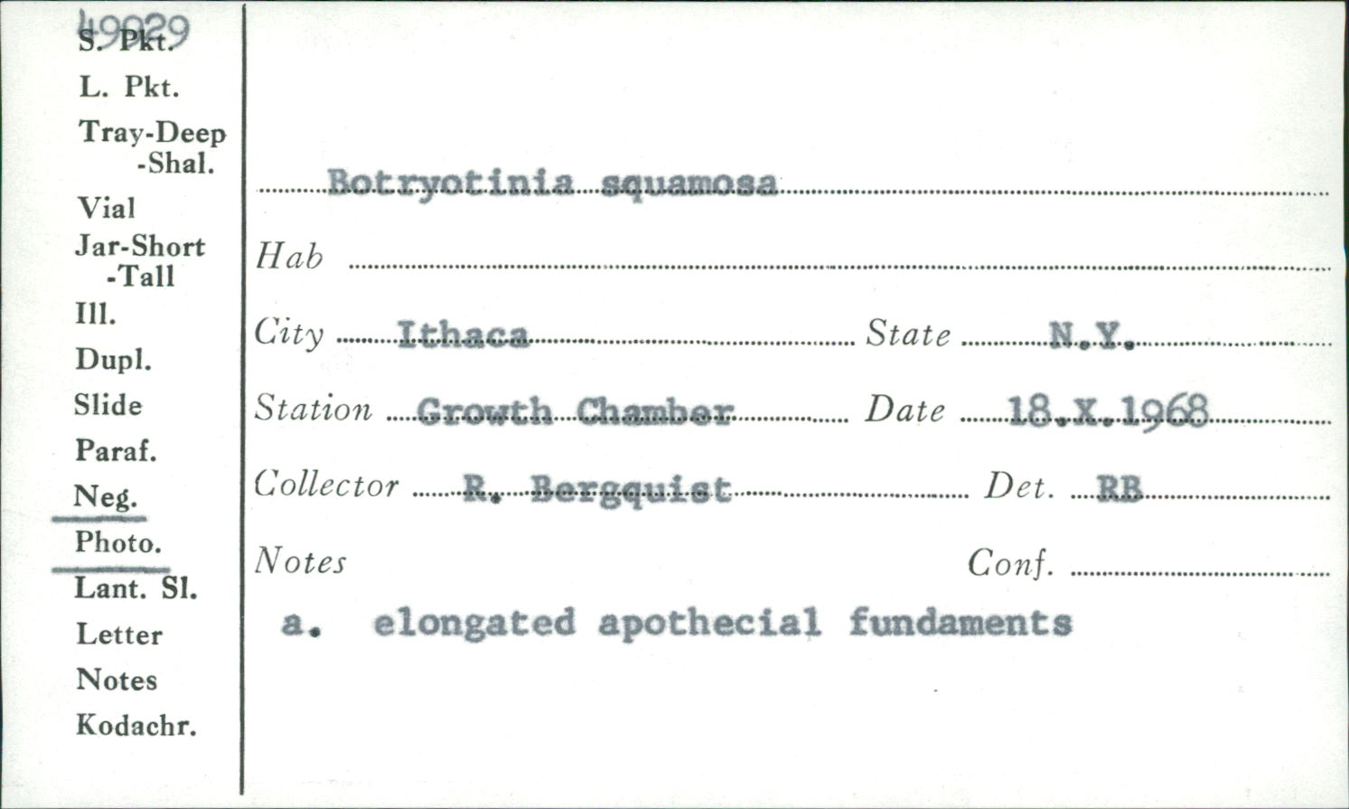 Botryotinia squamosa image