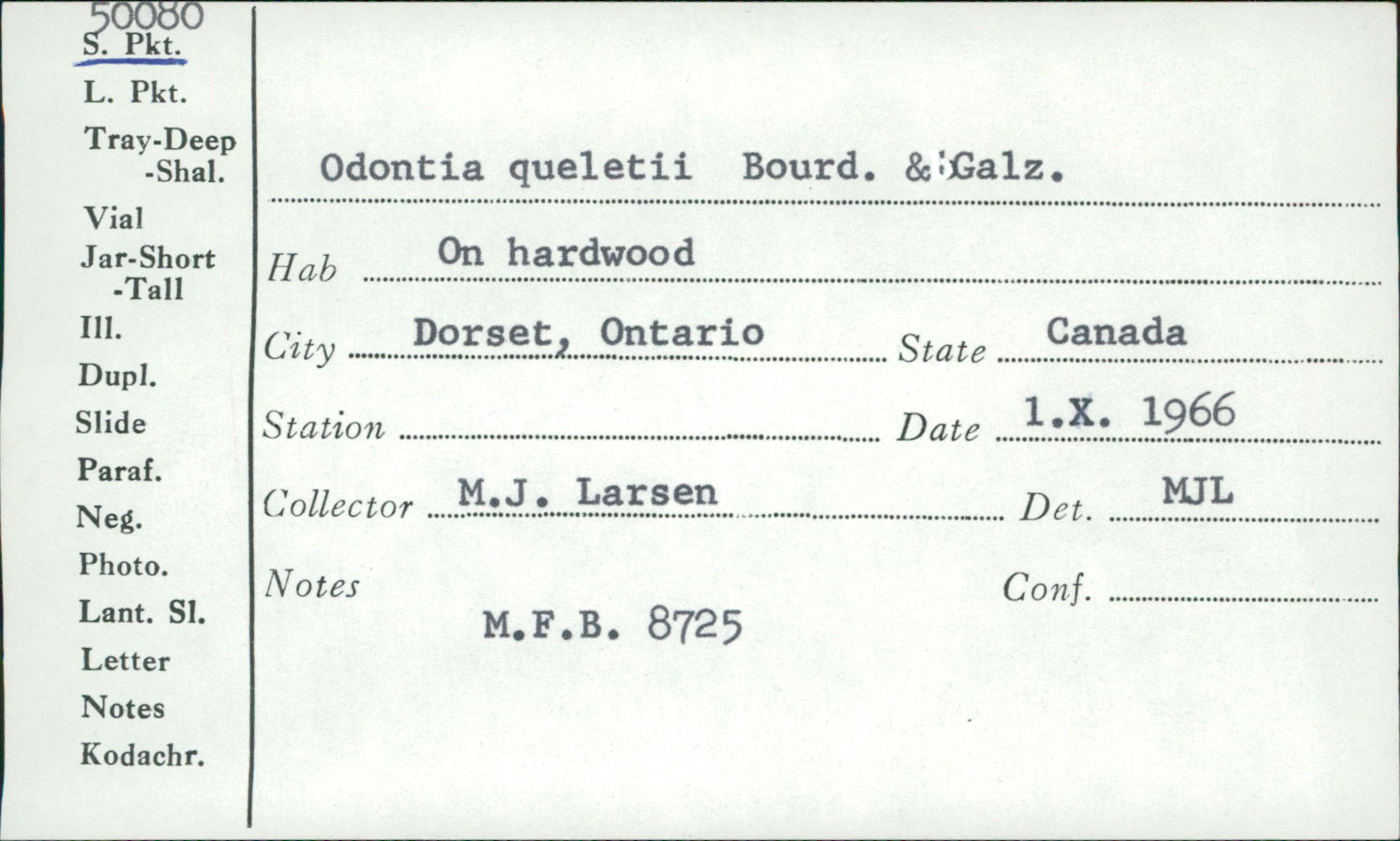 Cabalodontia queletii image