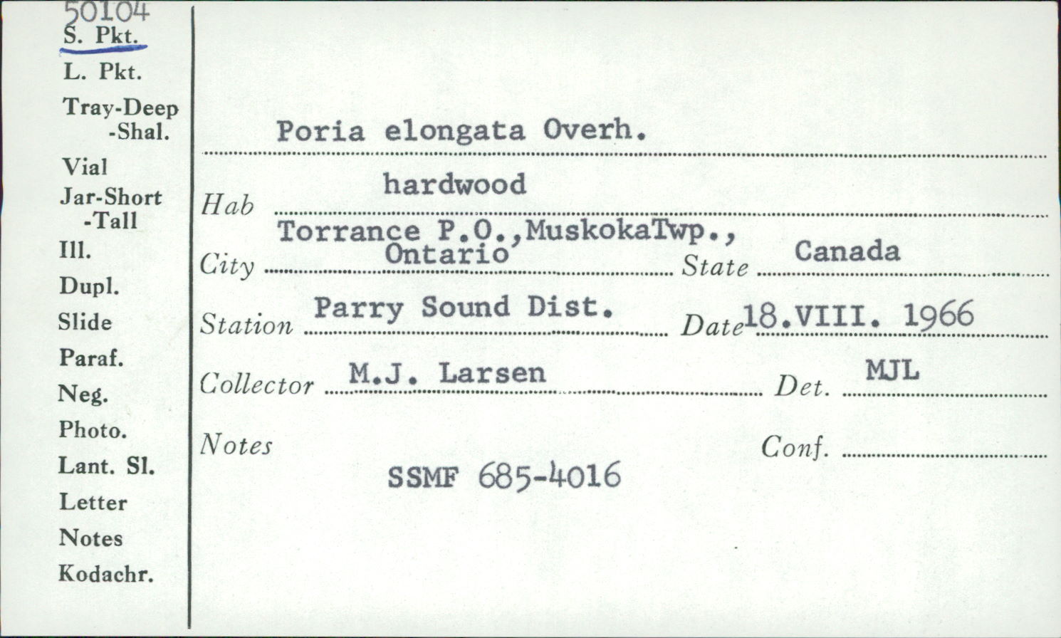 Poria elongata image