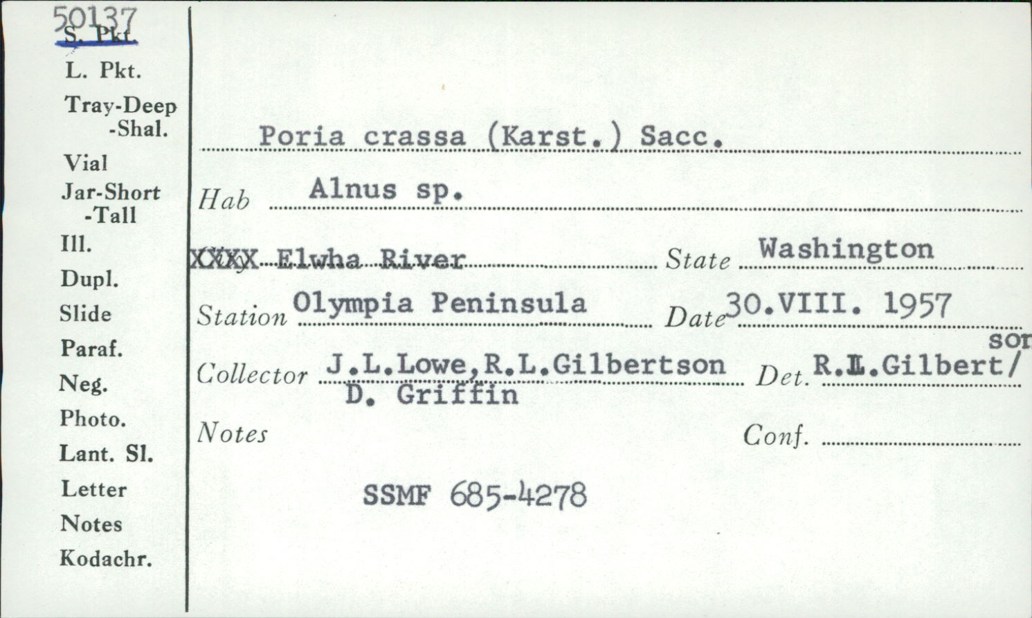 Antrodia crassa image
