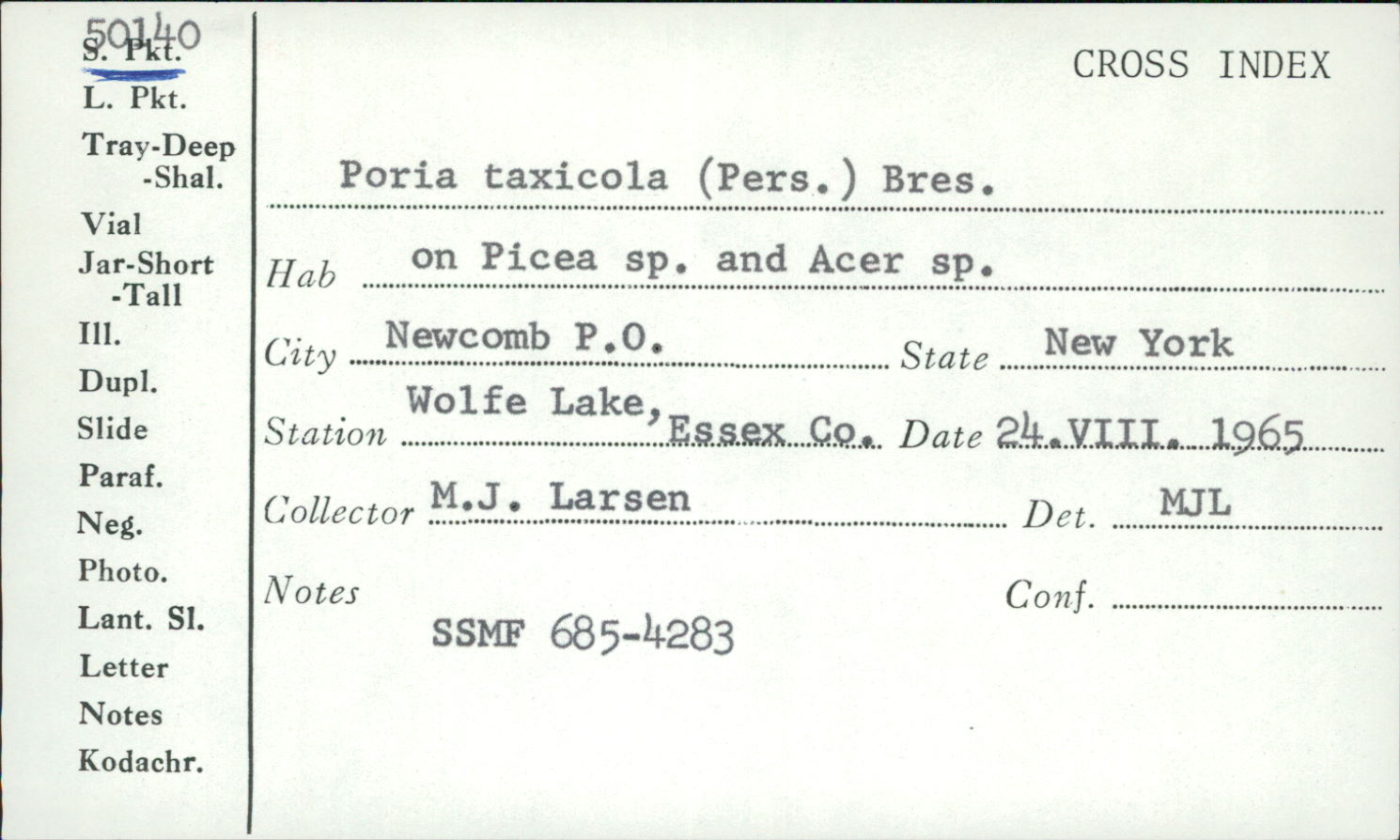Gloeoporus taxicola image