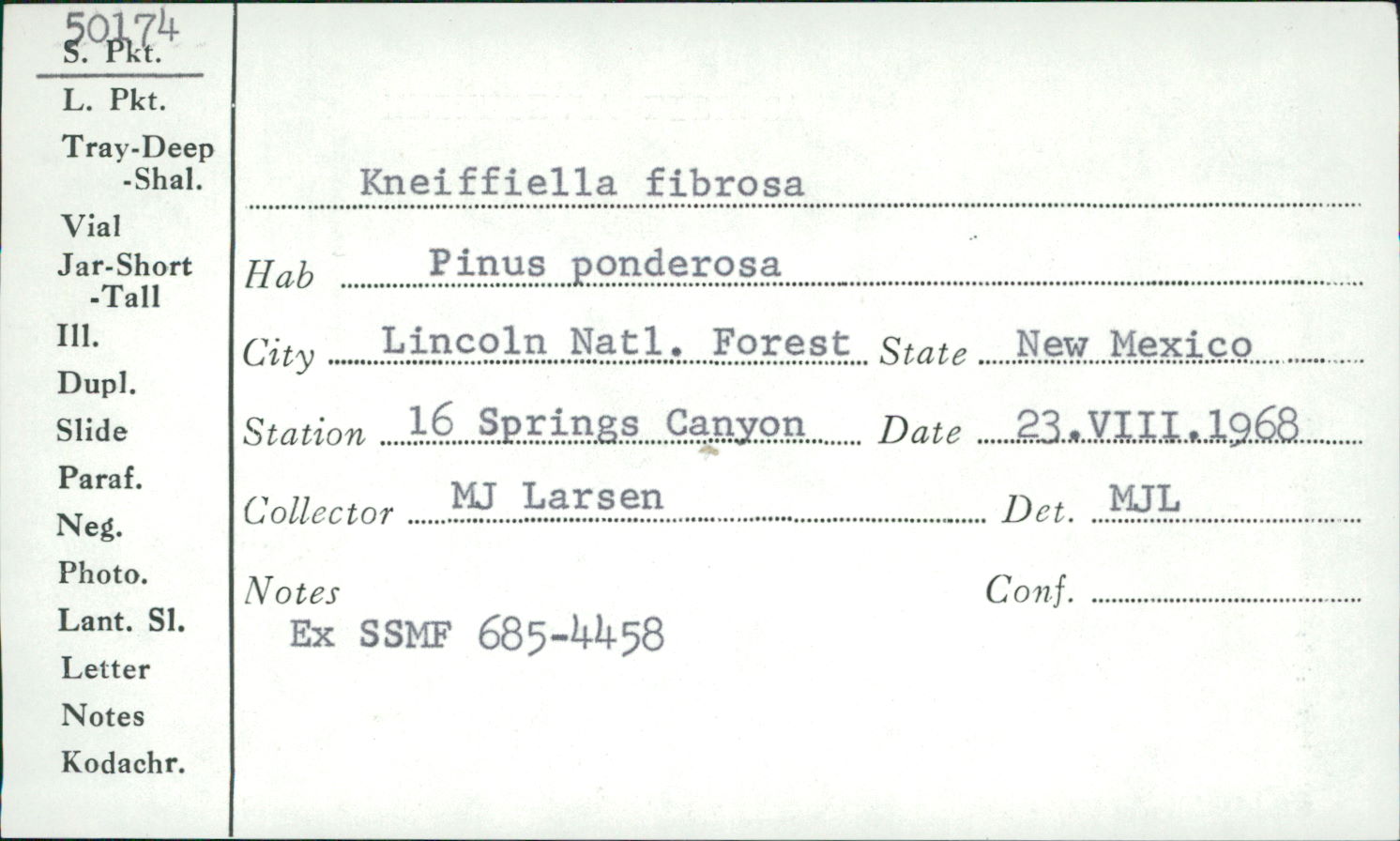 Kneiffiella fibrosa image