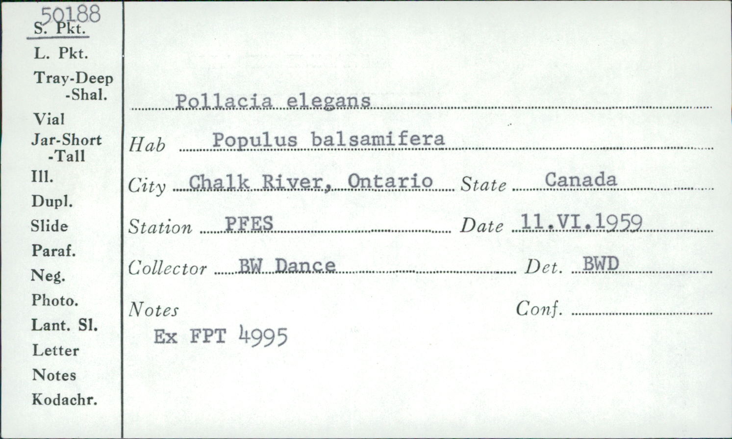 Venturia populina image