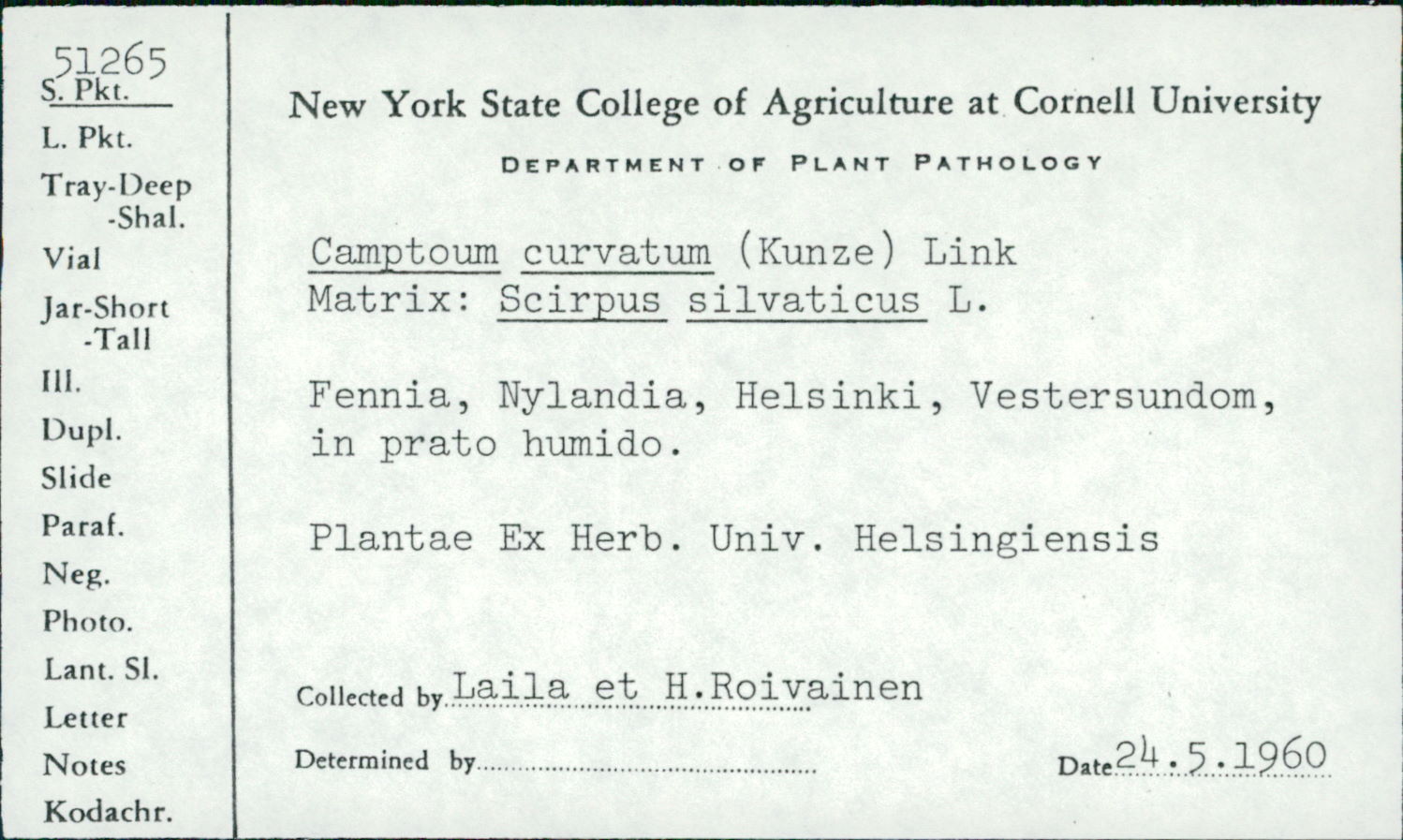 Physalospora scirpi image