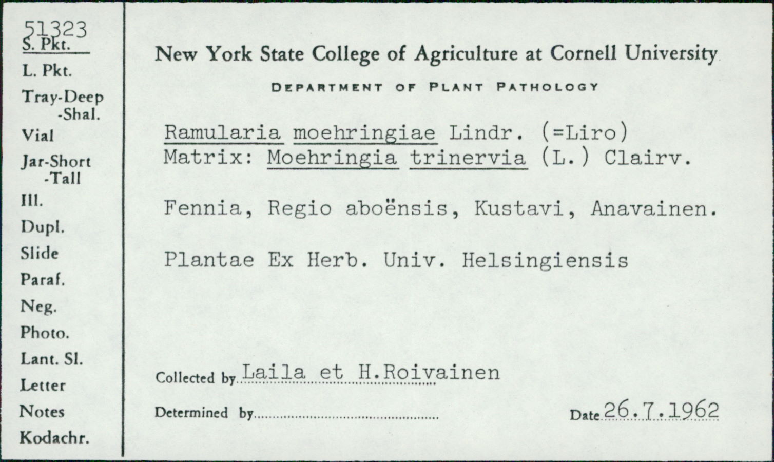 Ramularia moehringiae image