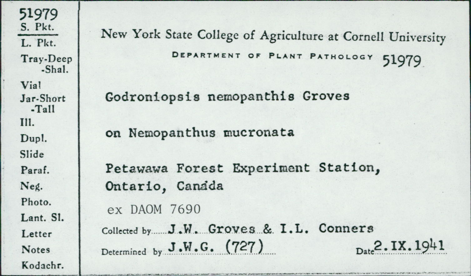 Godroniopsis nemopanthi image