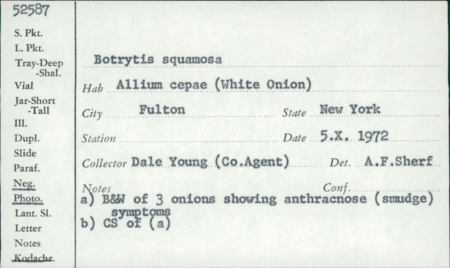 Botryotinia image