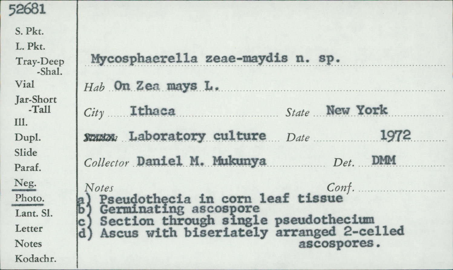 Mycosphaerella zeae-maydis image