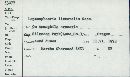 Leptosphaeria littoralis image