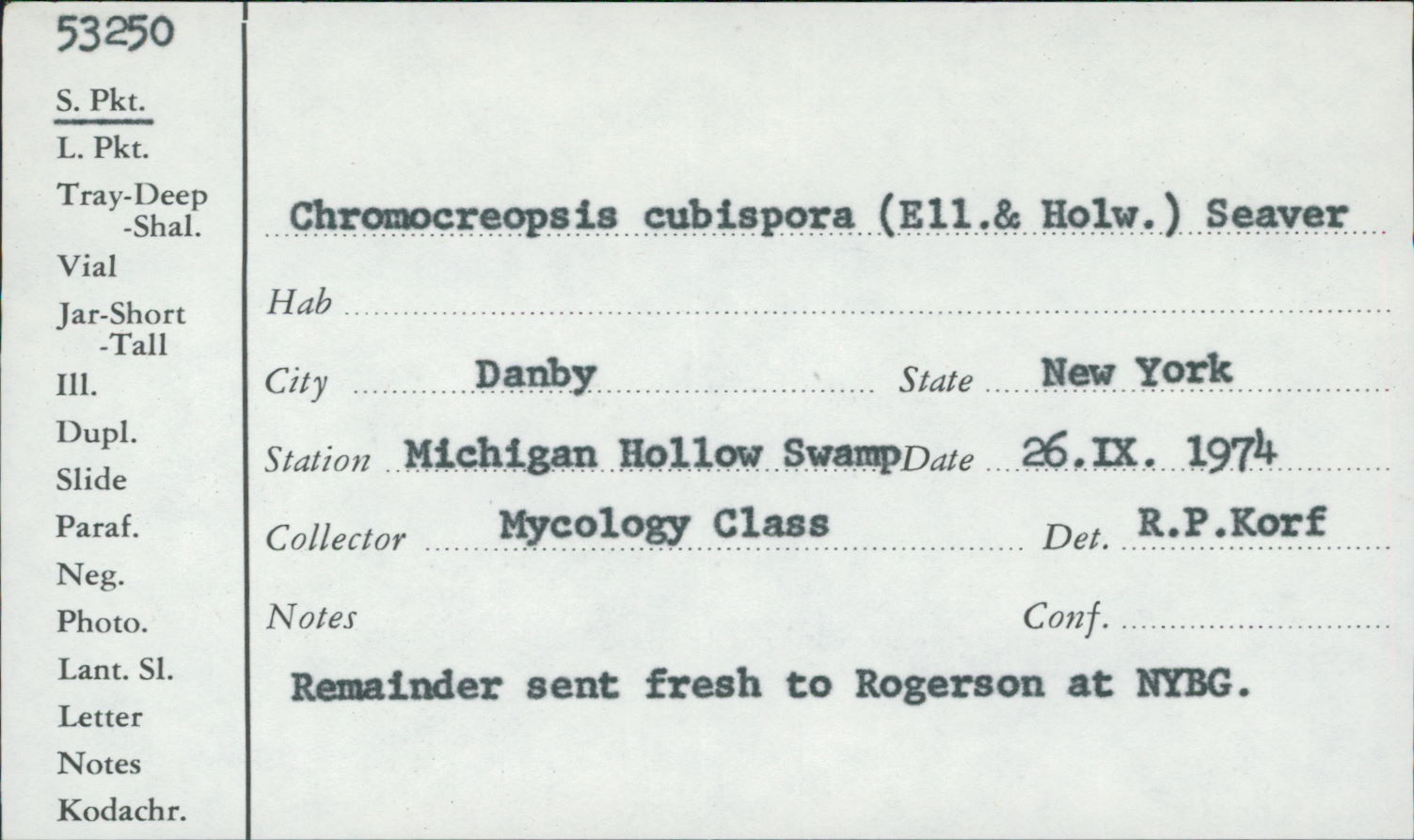 Chromocreopsis cubispora image
