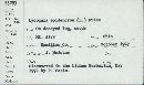 Lycogala epidendrum image
