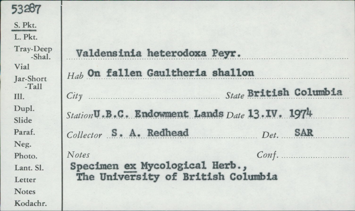 Valdensinia heterodoxa image