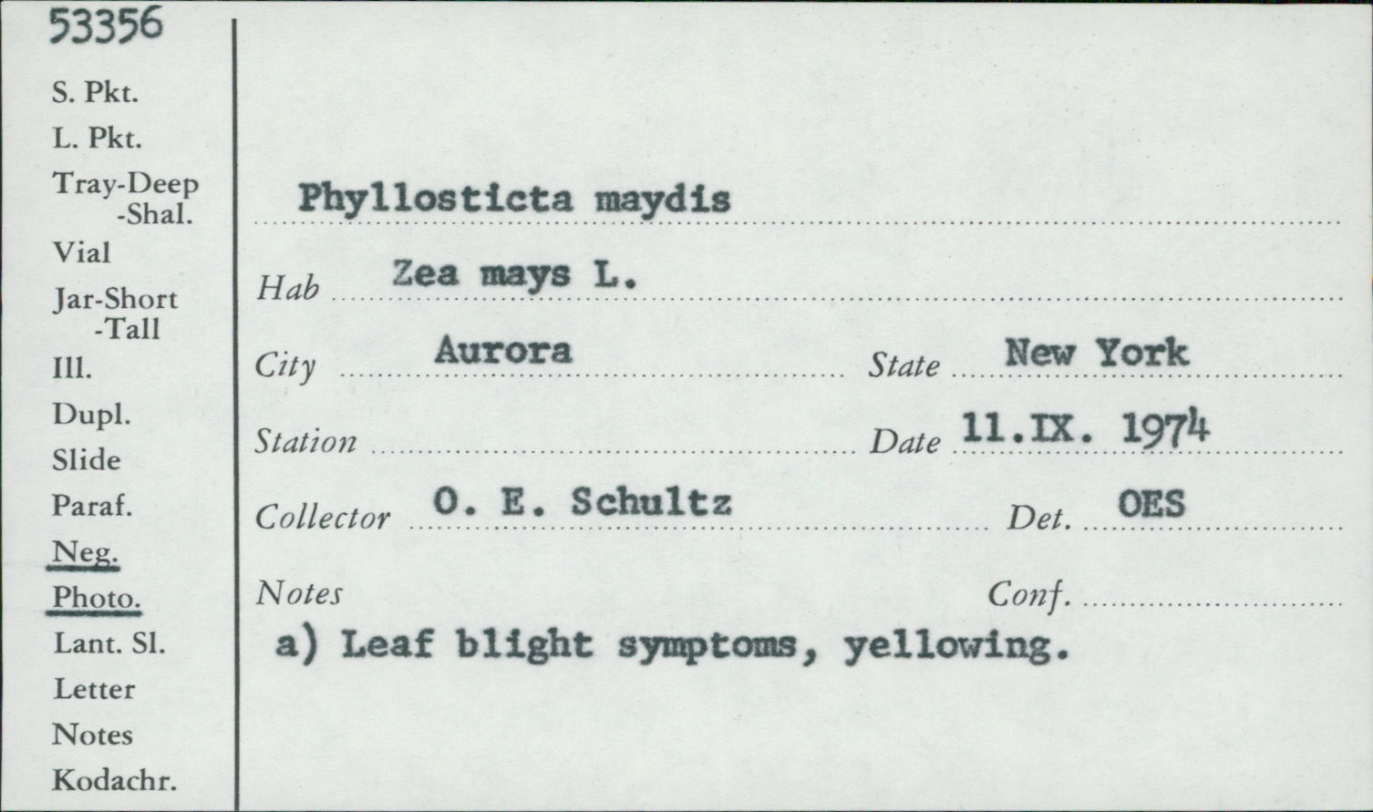 Mycosphaerella zeae-maydis image