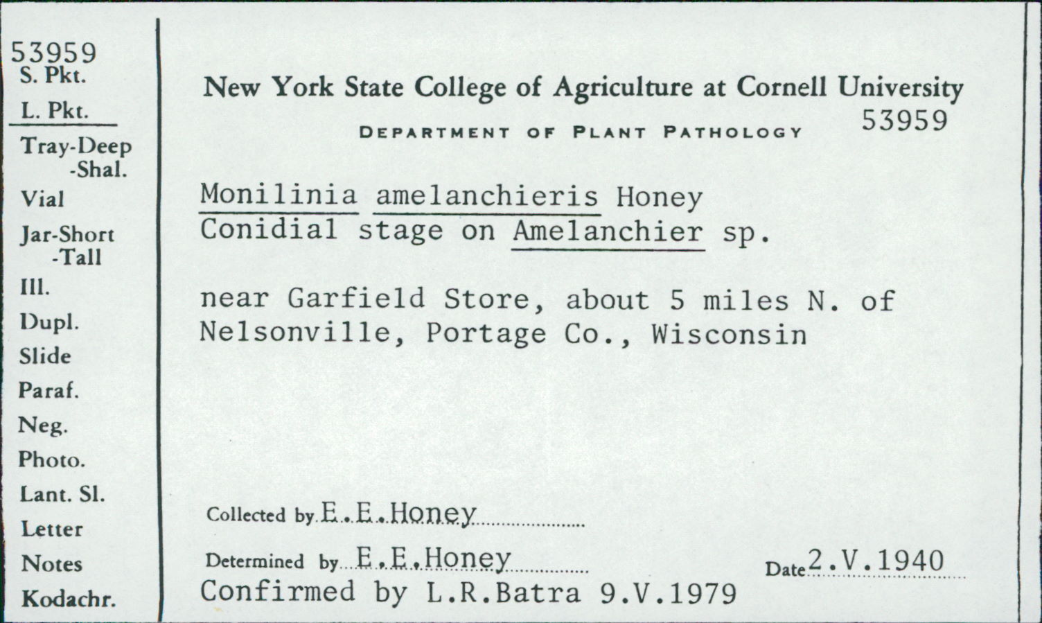 Monilinia amelanchieris image