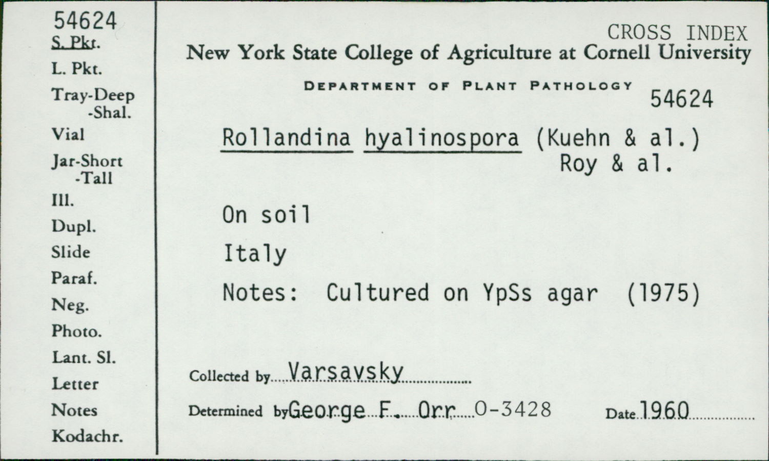Gymnascella hyalinospora image
