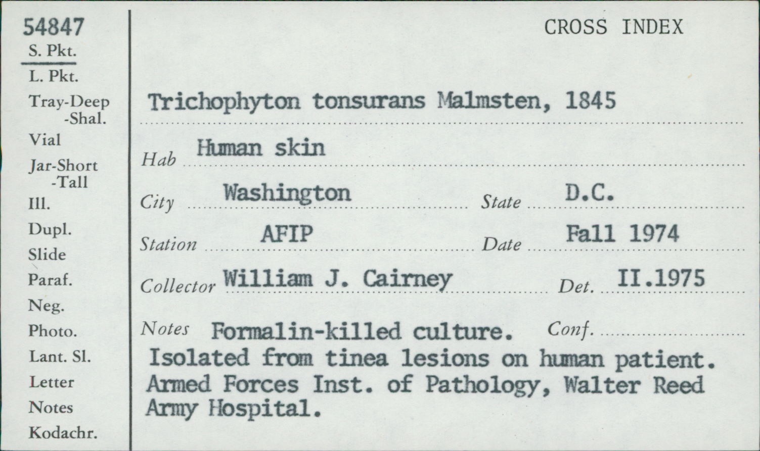 Trichophyton tonsurans image