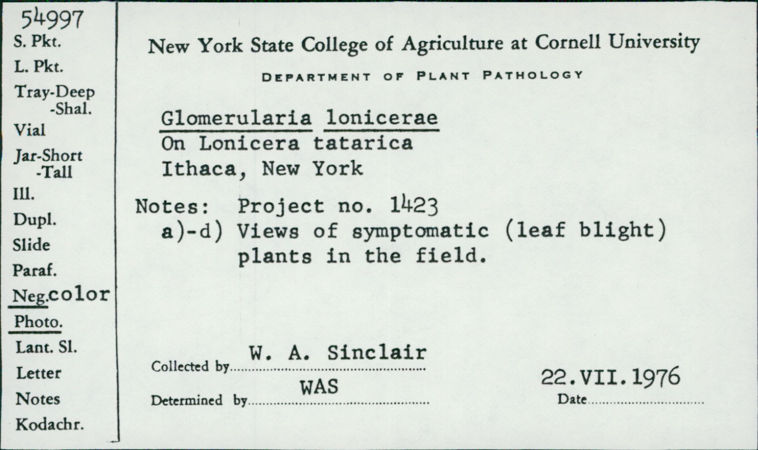 Glomerularia lonicerae image
