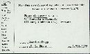 Phomopsis obscurans image